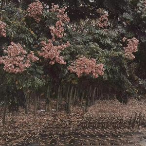 中国做受❌❌❌
